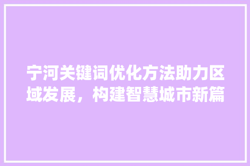 宁河关键词优化方法助力区域发展，构建智慧城市新篇章_宁河关键词优化方法