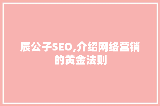 辰公子SEO,介绍网络营销的黄金法则