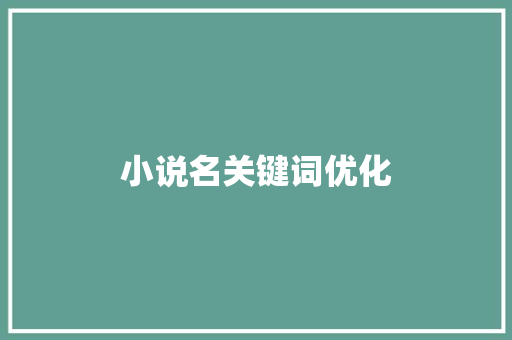 小说名关键词优化