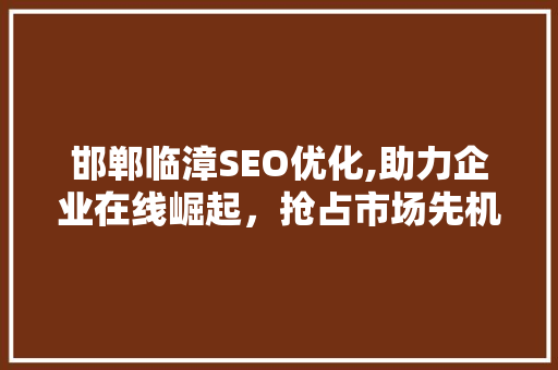 邯郸临漳SEO优化,助力企业在线崛起，抢占市场先机
