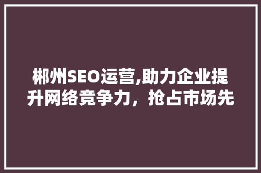 郴州SEO运营,助力企业提升网络竞争力，抢占市场先机