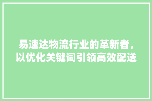 易速达物流行业的革新者，以优化关键词引领高效配送_优化关键词易速达