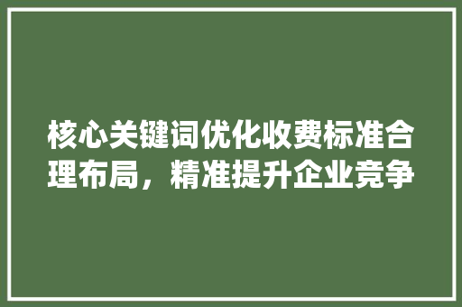 核心关键词优化收费标准合理布局，精准提升企业竞争力_核心关键词优化收费标准