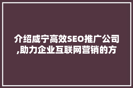 介绍咸宁高效SEO推广公司,助力企业互联网营销的方法之路