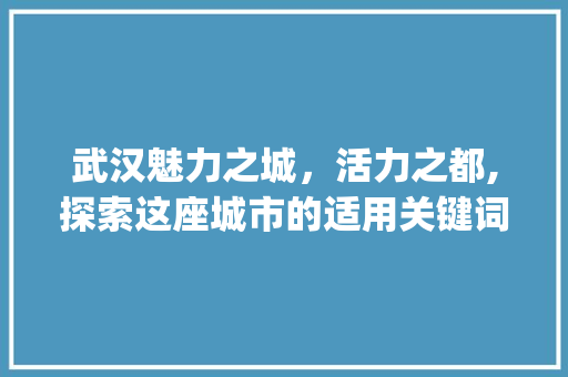 武汉魅力之城，活力之都,探索这座城市的适用关键词_武汉适用的关键词优化