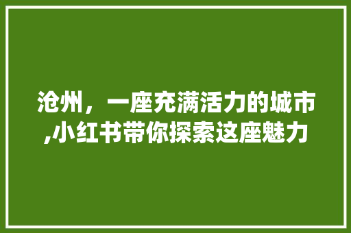 沧州，一座充满活力的城市,小红书带你探索这座魅力之城_沧州小红书关键词优化
