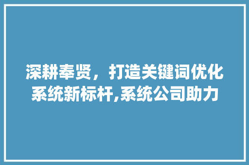 深耕奉贤，打造关键词优化系统新标杆,系统公司助力企业腾飞_奉贤关键词优化系统公司