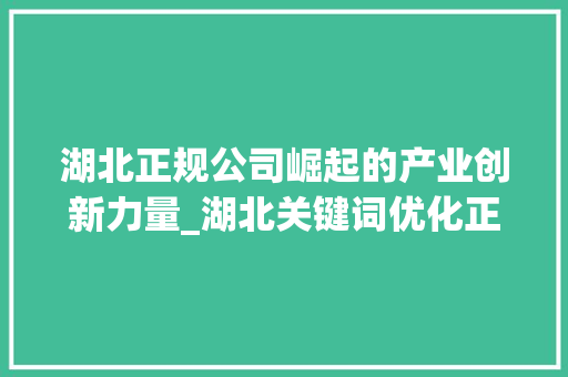 湖北正规公司崛起的产业创新力量_湖北关键词优化正规公司