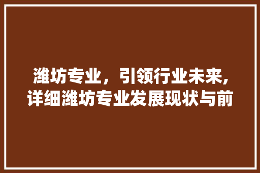 潍坊专业，引领行业未来,详细潍坊专业发展现状与前景_潍坊专业指定关键词优化