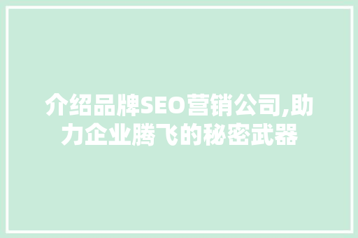 介绍品牌SEO营销公司,助力企业腾飞的秘密武器