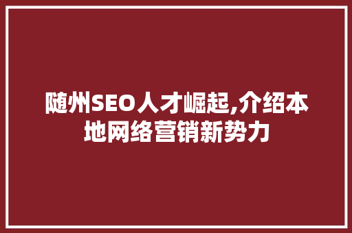 随州SEO人才崛起,介绍本地网络营销新势力