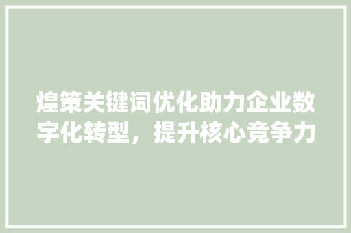 煌策关键词优化助力企业数字化转型，提升核心竞争力_煌策关键词优化