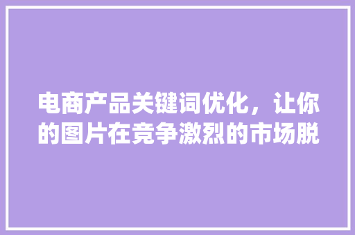 电商产品关键词优化，让你的图片在竞争激烈的市场脱颖而出_产品关键词优化图片