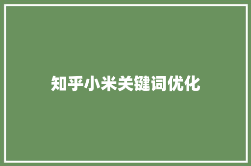 知乎小米关键词优化