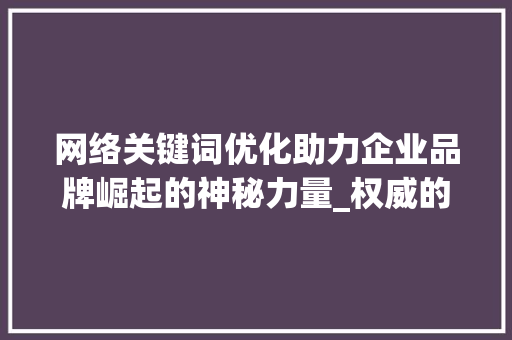网络关键词优化助力企业品牌崛起的神秘力量_权威的网络关键词优化