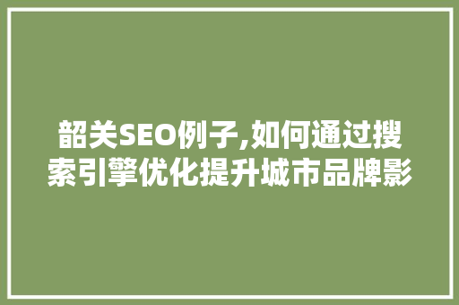 韶关SEO例子,如何通过搜索引擎优化提升城市品牌影响力
