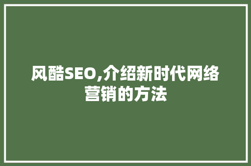 风酷SEO,介绍新时代网络营销的方法
