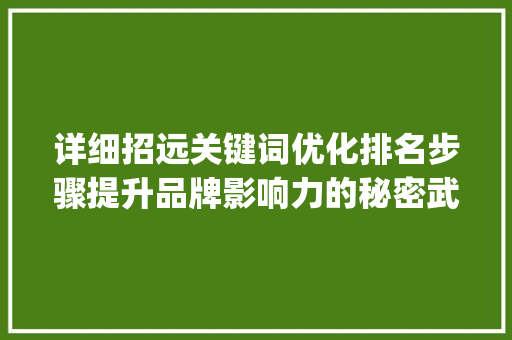 详细招远关键词优化排名步骤提升品牌影响力的秘密武器_招远关键词优化排名