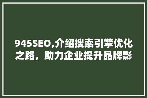 945SEO,介绍搜索引擎优化之路，助力企业提升品牌影响力