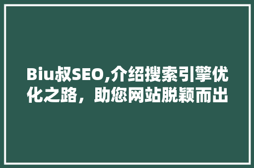 Biu叔SEO,介绍搜索引擎优化之路，助您网站脱颖而出