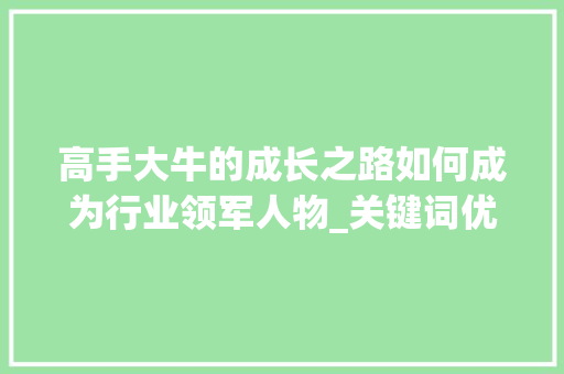 高手大牛的成长之路如何成为行业领军人物_关键词优化高手大牛来