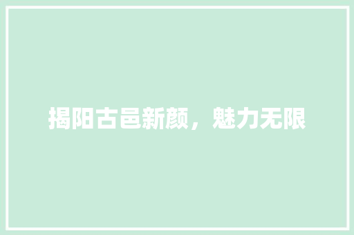 揭阳古邑新颜，魅力无限