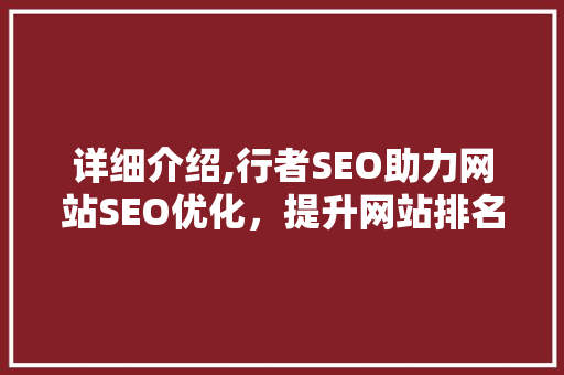 详细介绍,行者SEO助力网站SEO优化，提升网站排名与流量