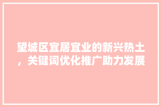 望城区宜居宜业的新兴热土，关键词优化推广助力发展