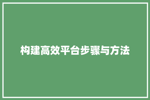 构建高效平台步骤与方法