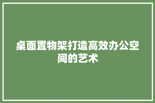 桌面置物架打造高效办公空间的艺术