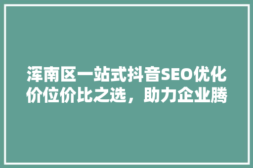 浑南区一站式抖音SEO优化价位价比之选，助力企业腾飞