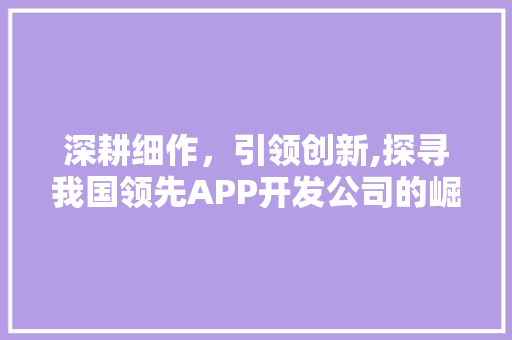 深耕细作，引领创新,探寻我国领先APP开发公司的崛起之路