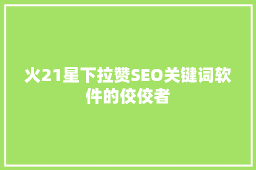 火21星下拉赞SEO关键词软件的佼佼者