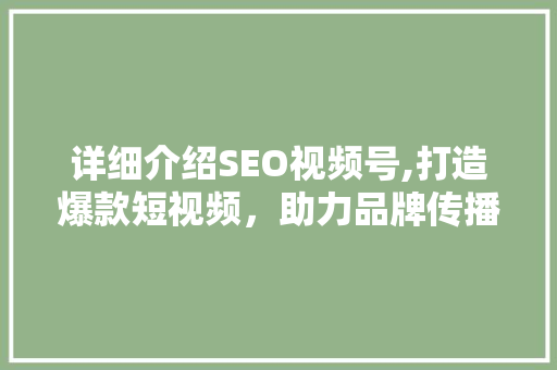 详细介绍SEO视频号,打造爆款短视频，助力品牌传播新途径