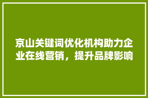 京山关键词优化机构助力企业在线营销，提升品牌影响力_京山关键词优化机构
