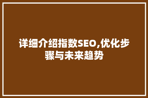详细介绍指数SEO,优化步骤与未来趋势