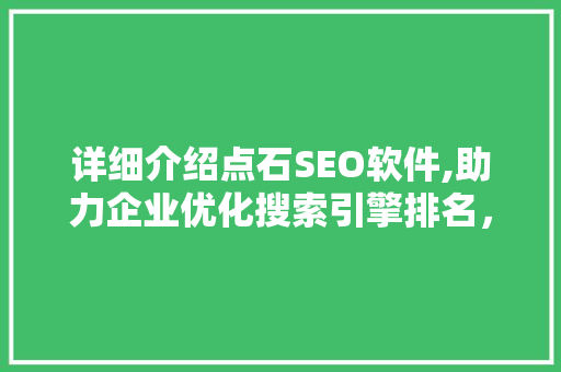 详细介绍点石SEO软件,助力企业优化搜索引擎排名，抢占互联网市场先机