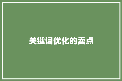 关键词优化的卖点