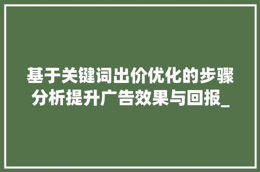 基于关键词出价优化的步骤分析提升广告效果与回报_关键词出价优化步骤分析