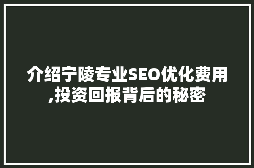 介绍宁陵专业SEO优化费用,投资回报背后的秘密