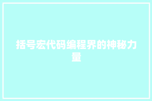 括号宏代码编程界的神秘力量