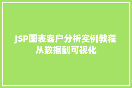 JSP图表客户分析实例教程从数据到可视化