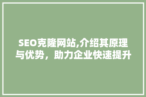 SEO克隆网站,介绍其原理与优势，助力企业快速提升在线竞争力