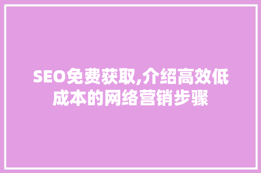 SEO免费获取,介绍高效低成本的网络营销步骤