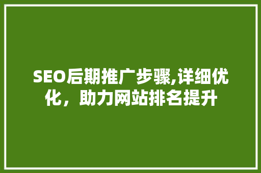 SEO后期推广步骤,详细优化，助力网站排名提升
