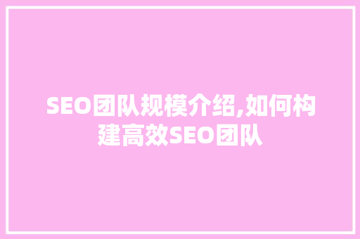 SEO团队规模介绍,如何构建高效SEO团队