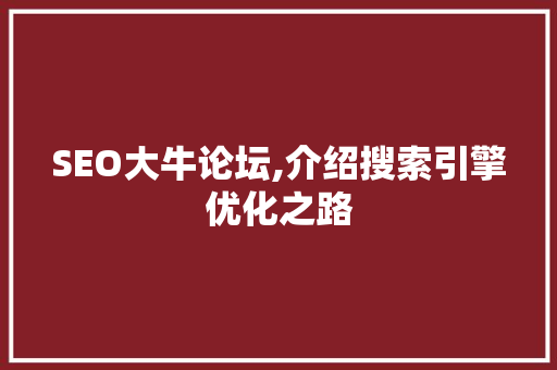 SEO大牛论坛,介绍搜索引擎优化之路