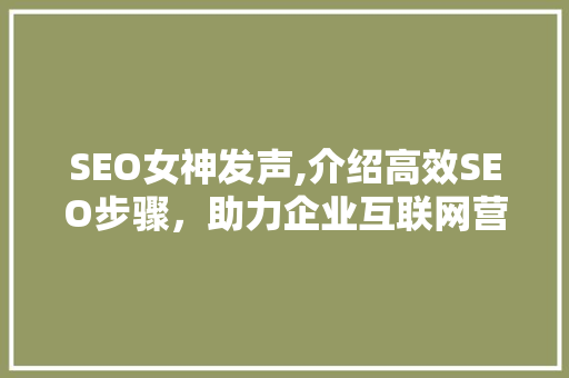 SEO女神发声,介绍高效SEO步骤，助力企业互联网营销新篇章