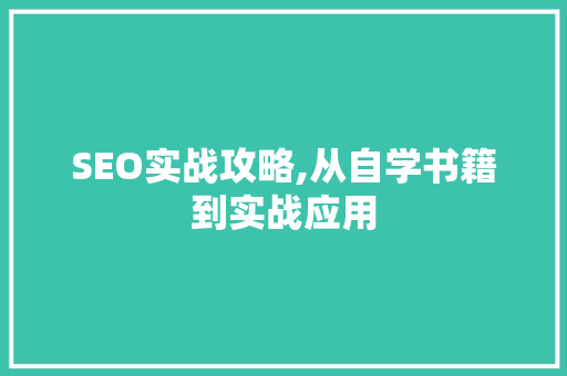 SEO实战攻略,从自学书籍到实战应用