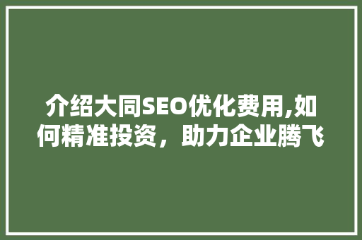 介绍大同SEO优化费用,如何精准投资，助力企业腾飞